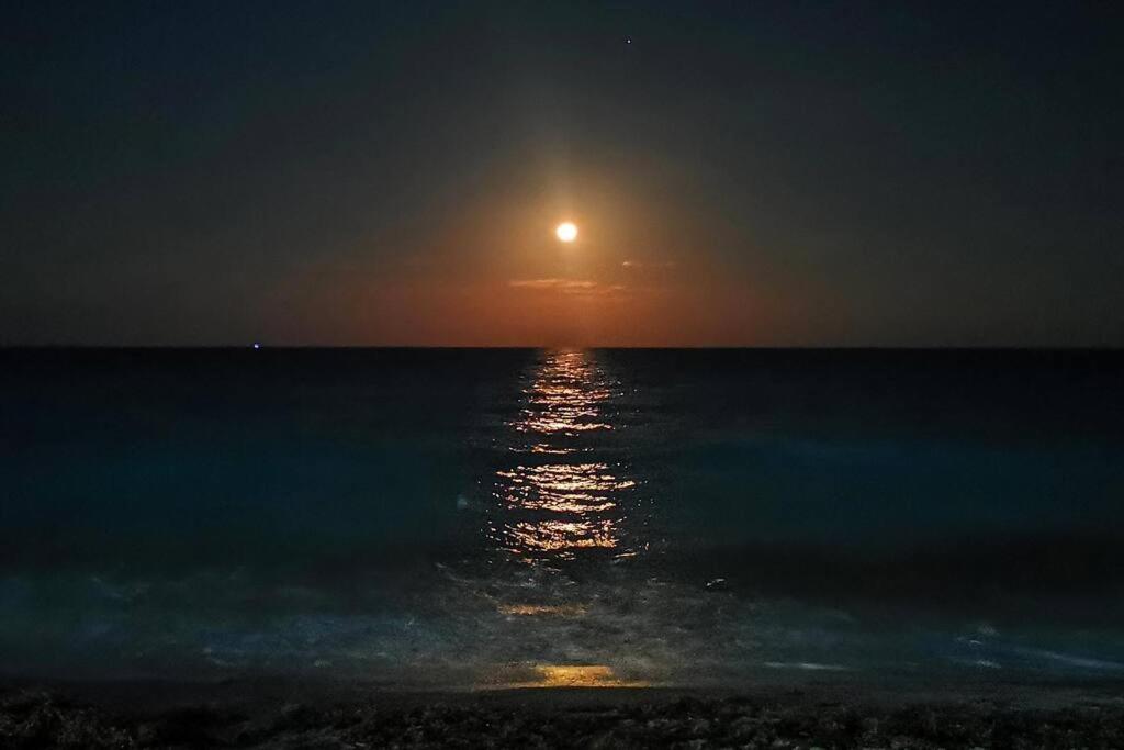 Villa Aurora Beautiful Beachfront Apartment Κανκούν Εξωτερικό φωτογραφία